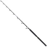Shimano Fishing Tld B Stand Up Trollingrute
