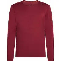 Icebreaker M 200 Oasis Long Sleeve Crewe port (IB01C) XL