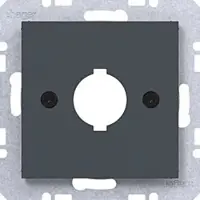 Hager WAF1171AT Zentralstück für Melde- u. Befehlsg. Ø 18,8 mm, A.x/C.x, anthr mt la