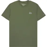 Quiksilver T-Shirt "Caecilian", Herren, Gr. S, grün (grape leaf), Obermaterial: 88% Polyester, 12% Elasthan., Shirts T-Shirt