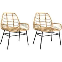 vidaXL Gartenstühle 2 Stk. Braun Poly Rattan