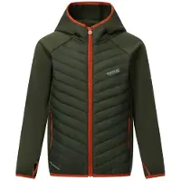 Regatta - Kid's Junior Andreson Hybrid - Hybridjacke Gr 11-12 Years oliv