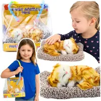 Leantoys Schlafende rote Katze auf einem Kissen, Figur mit Fellbeutel und Geräuschen