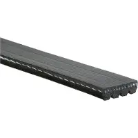 Gates Keilrippenriemen 4pk1525sf für AUDI