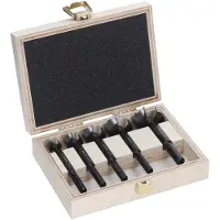 Bosch EXPERT Wood Forstnerbohrersatz, 5-teiliges Set - 2608901843
