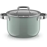 WMF Fusiontec Mineral Pro Kochtopf mit Deckel, 20 cm, Eucalyptus Haze 05.1980.5290, 3,7 l, Rund, Grün, Edelstahl, Fusiontec, Edelstahl