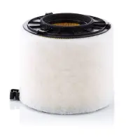 Mann Luftfilter c17010 Filtereinsatz 152mm für VAG