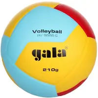 Gala Volleyballballtraining Bv5555s