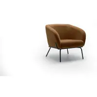 STONES Sessel Sherry, modernes Design, brauner Samtsitz und lackierte Metallbeine, Maße 74 x 75 x 69 cm, für zeitgenössisches Wohnen