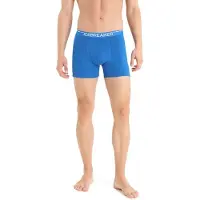 Icebreaker M Anatomica Boxers lazurite (IB580) S