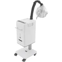 StarTech.com Haardampfer - Nano-Haardampfer 500 W - LCD-Display - 4 Dampfstufen - 2 Luftstufen - Timer 0–60 Min. - 4 Räder - Weiß