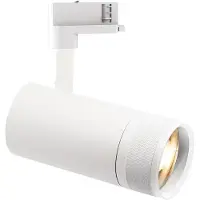 Ideal Lux 341101 FILO Pendelleuchte D600mm LED 19W 1750/1520lm 2700K Messing
