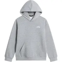 The North Face Teen Evolution Simple Dome Pullover Hood tnf pale grey heather (CQO) XS