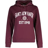 Gant Hoodie "REGULAR GRAPHIC"