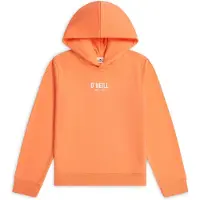 O'Neill Essentials Kapuzenpullover