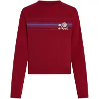 O'Neill O'Riginals Long Sleeve T-Shirt tamarillo Gr. S