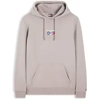 Tommy Hilfiger Dm0dm23584 Kapuzenpullover