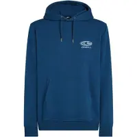 O'Neill Must-have Kapuzenpullover