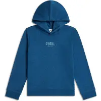 O'Neill Essentials Kapuzenpullover