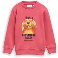 Tom Tailor 1052457 Sweatshirt