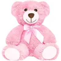 Sonstiges Teddybär Plüschtier 13,5 Zoll Rosa 1 Stück