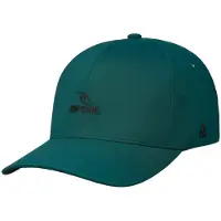 Rip Curl RipCurl Vaporcool Delta Flexfit Cap blue green (0076) S/M