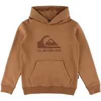 Quiksilver - Kid's Comp Logo Hoodie - Hoodie Gr 10 orange
