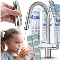ARI Slender 3-Wege Küchenarmatur Inox Mit Ausziehbrause, Filterwasser-Auslauf, 360° Drehbar, Messing, 2 Hebel, Keramikkartusche