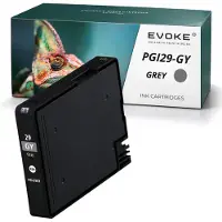 Evoke -Patronen, kompatibel mit dem Canon-Drucker PGI-29 PGI29 4871B001, grau, 38 ml, kompatibel mit dem Pixma Pro-1