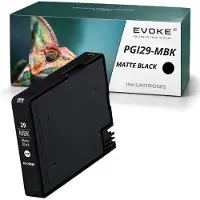 Evoke -Patronen, kompatibel mit dem Canon-Drucker PGI-29 PGI29 4868B001, mattschwarz, 38 ml, kompatibel mit dem Pixma Pro-1