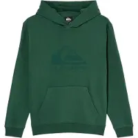 Quiksilver - Kid's Comp Logo Hoodie - Hoodie Gr 12 grün