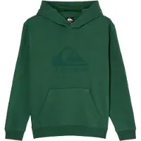 Quiksilver - Kid's Comp Logo Hoodie - Hoodie Gr 8 grün