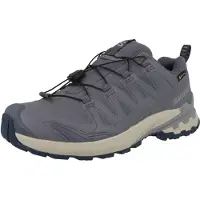 Salomon Damen Trailrunningschuhe SHOES XA PRO 3D V9 GTX W Grisai/Tradewin