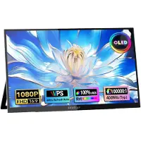 Zeuslap Ol133ed Tragbarer Monitor