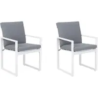 Markenlos Exklusive Aluminium-Gartenstühle, 2er-Set, grau – Pancole