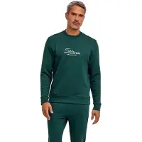 Falke Herren Hoodie, 3XL, Grün, Stickmotiv, Baumwolle