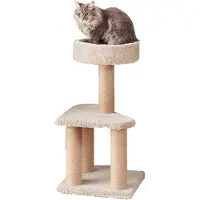 Amazon Basics A. Basics Kratzbaum mit Kratzstämmen für den Innenbereich, mittelgroß, 40 x 40 x