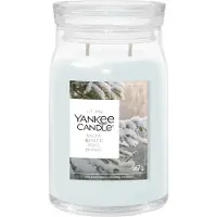 Yankee candle Snow Kissed Pine Duftkerze 567 g
