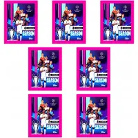 Hasbro Packs of 7 stickers: 2024 UEFA Champions League Topps