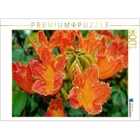 CALVENDO Puzzle Afrik. Tulpenbaum | 1000 Teile Lege-Größe 64 × 48 cm Foto-Puzzle für glückliche Stunden