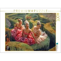 CALVENDO Puzzle, Garten-Labyrinthe | 1000 Teile, fertige Größe: 64 x 48 cm | Fotopuzzle für entspannte Stunden