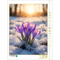 CALVENDO Puzzle: Krokusse im Winterlicht | 2000 Teile, fertige Größe: 90 x 67 cm | Fotopuzzle für entspannte Stunden