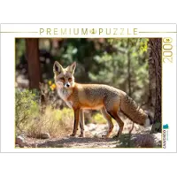 CALVENDO Puzzle "Fuchs im Wald" – Aufmerksam durch den Wald | 2000 Teile, fertige Größe 35,4 × 26,4 Zoll (90 × 67 cm) | Fotopuzzle für entspannte Stunden
