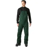 Helly Hansen Men's Legendary Insulated Bib Pant dark jungle (418) L