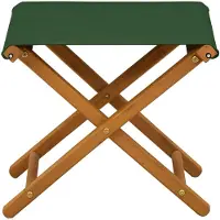 vidaXL Liegestuhl 2 pcs Massives Eukalyptus Holz Grün