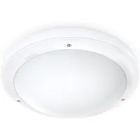 Steinel Professional Deckenleuchte SLAVE IP65 RS PRO 1000 2x18W G24q-2 schlagfest IK10