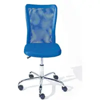 Generisch Bürostuhl Ergonomisch - Höhenverstellbare Rückenlehne, verstellbare Lendenstütze, Blau/Silber