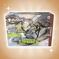 Heartforcards Magic: The Gathering Secrets of Strixhaven Bundle Englisch – 9 Boosterpacks, Promo Karte, Foil Länder & Zubehör, MTG Box + HeartforcardsVersandschutz