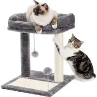 Markenlos Kleine 51 cm Kratzsäule mit Sisal-Kratzpad und Spielball - Plüschhöhle für Kätzchen in Grau