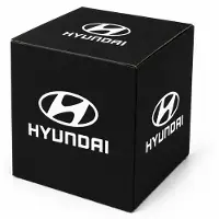 Hyundai Bike Träger Anhängerkupplung original 55701SBA21 OE
